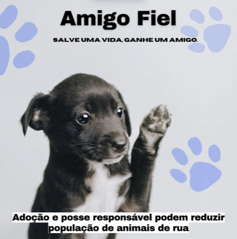 Cachorro para adoção